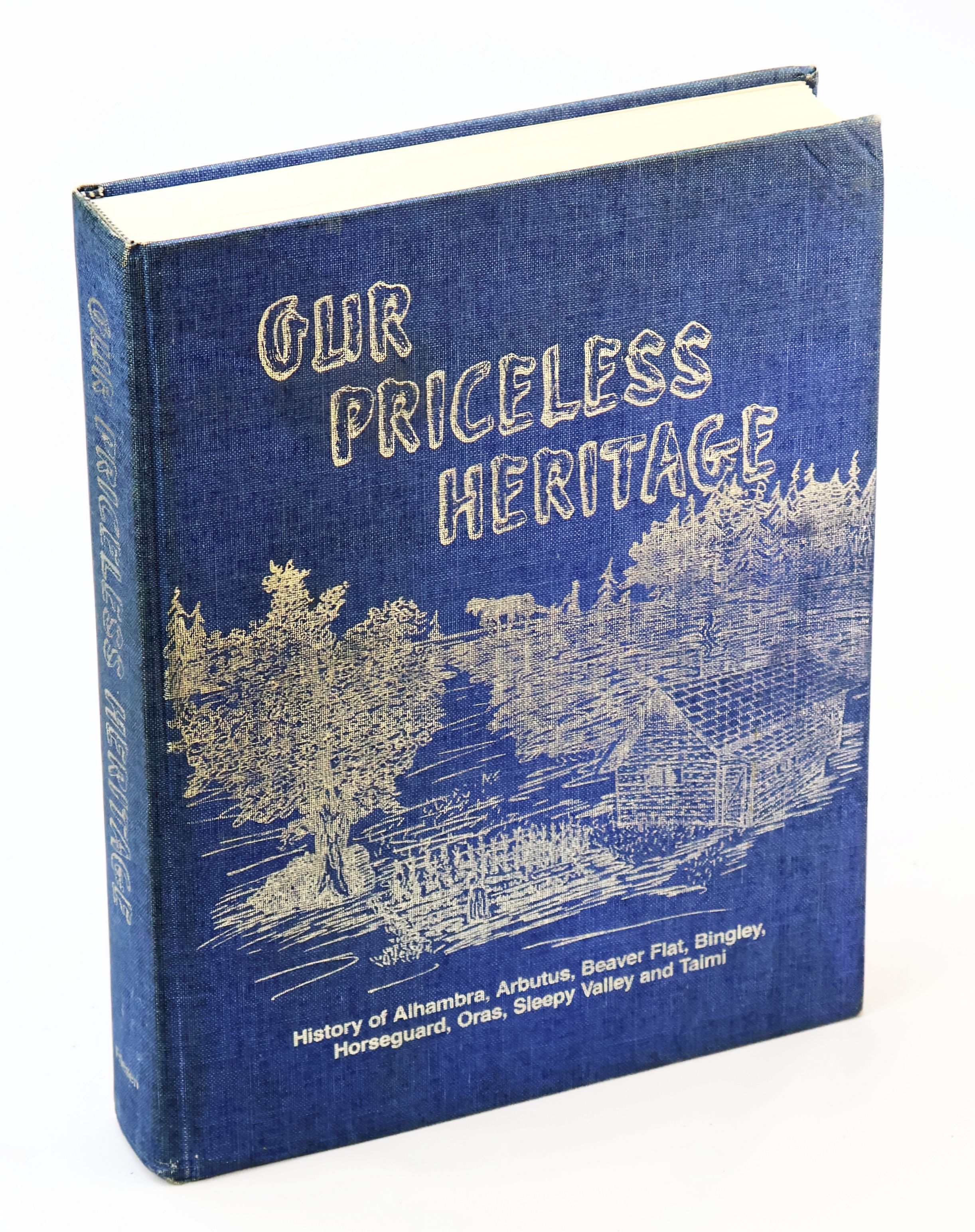 Lines of the Past: History of Preeceville and District (Saskatchewan ...