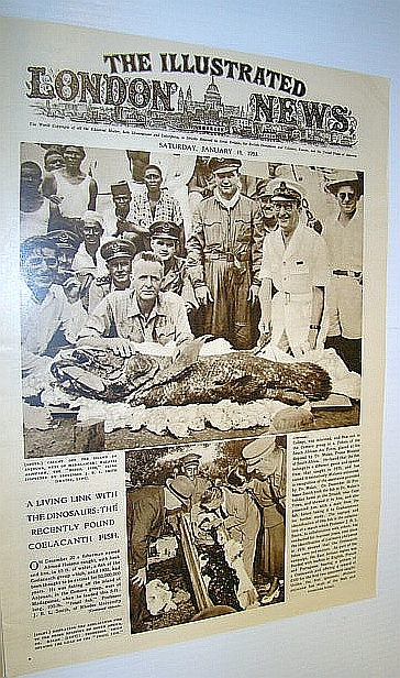 Image for The Illustrated London News (ILN) January 10, 1953 - Coelacanth Fish