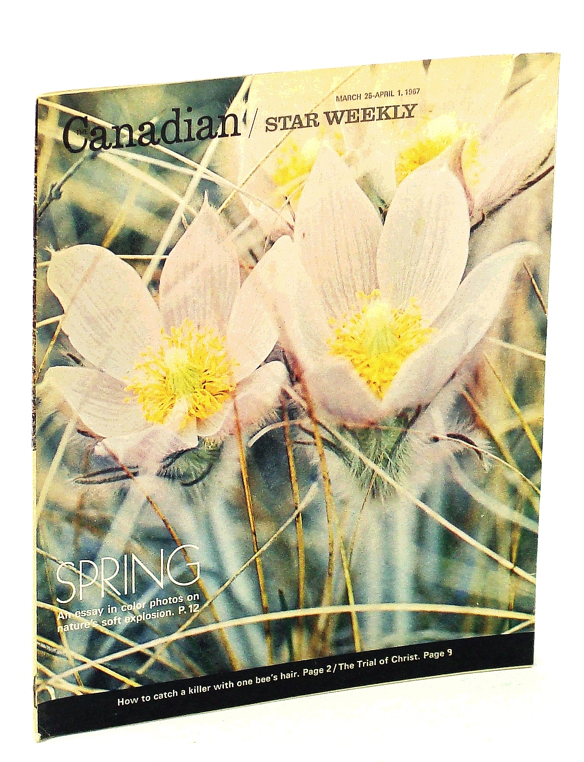 Canadian Star Weekly [Magazine], March 25 - April 1, 1967: Doug Hepburn ...