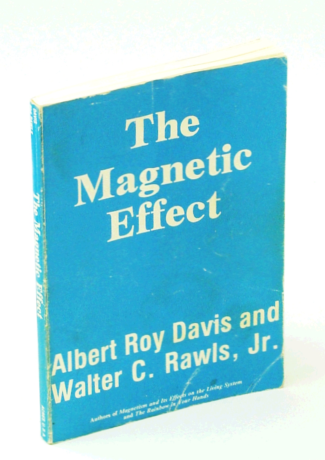 Image for The Magnetic Effect